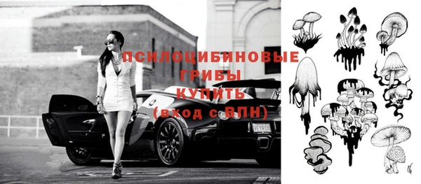 МДПВ Абдулино