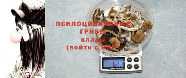 герыч Пересвет